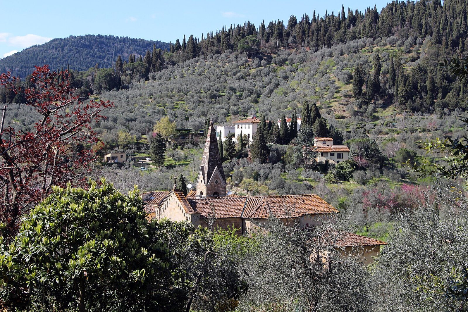 Una collina coperta di uliveti e cipressi con alcune ville, vista da Settignano verso Maiano; in primo piano i tetti e il campanile a punta di una chiesa