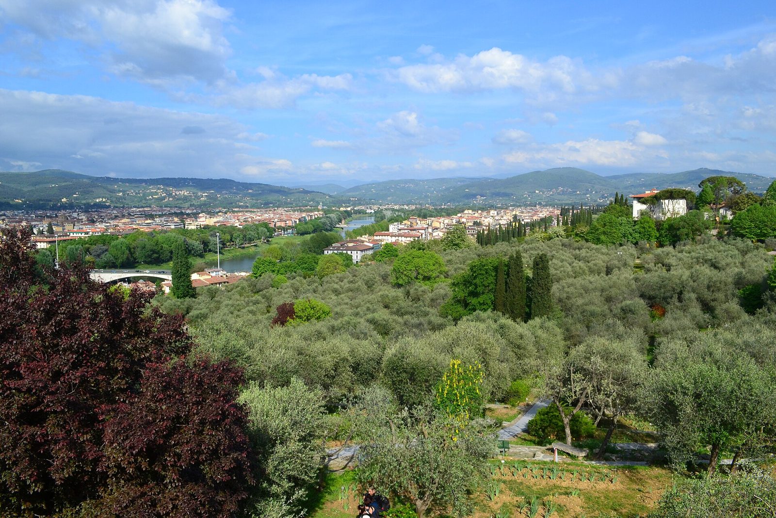 Veduta dal Giardino dell'Iris: ulivi e cipressi in primo piano, l'Arno con un ponte, i tetti di Firenze e le colline sotto un cielo con nuvole